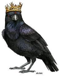 Le corbeau de Port-Real
