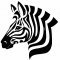 Equus zebra