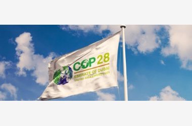 COP 28 : le bal des lobbyistes