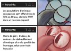 JPEG