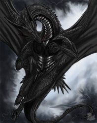 dragon71