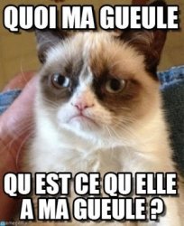 ignace