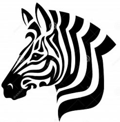 Equus zebra