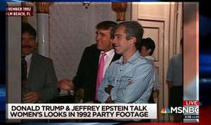 ➤ Affaire Epstein : une météorite sur le point de frapper le monde des élites ?